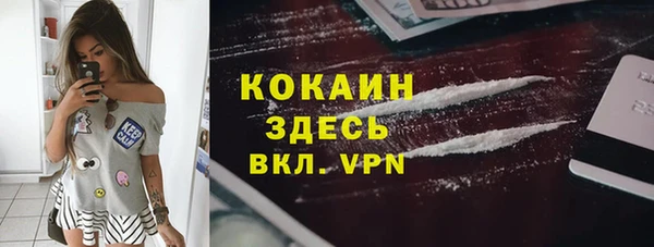 шишки Осинники