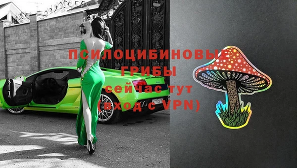 стафф Алексеевка