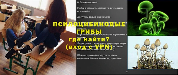 spice Алзамай