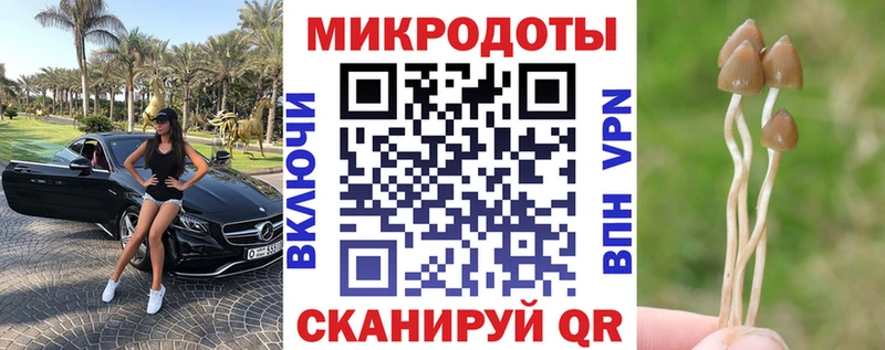 нарко площадка телеграм  как найти наркотики  Коркино  Псилоцибиновые грибы GOLDEN TEACHER 