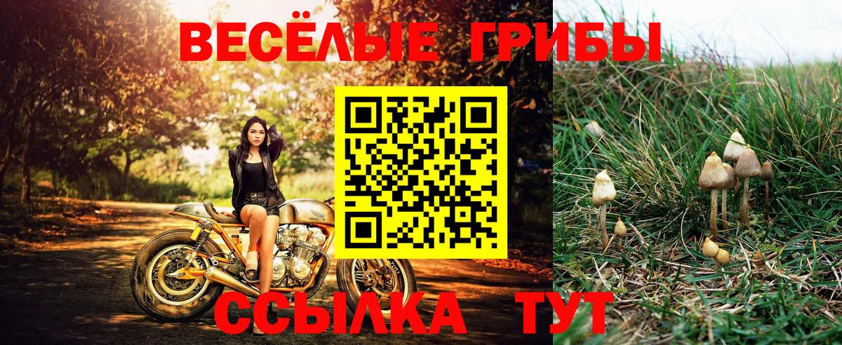 Псилоцибиновые грибы Magic Shrooms  Вход с VPN  наркота  Галлюциногенные грибы ЛСД  Коркино 